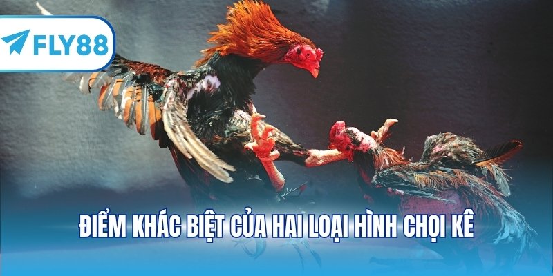 Điểm khác biệt của hai loại hình chọi kê
